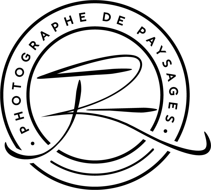 Signature Galerie Net Horizon